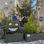 ヒメ日記 2025/03/18 14:44 投稿 いろは 渋谷 風俗 いきなりビンビン伝説