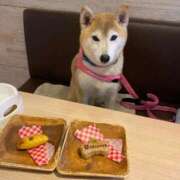 ヒメ日記 2025/04/13 12:07 投稿 いろは 渋谷 風俗 いきなりビンビン伝説