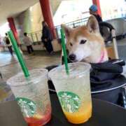 ヒメ日記 2025/05/05 09:44 投稿 いろは 渋谷 風俗 いきなりビンビン伝説