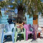 ヒメ日記 2025/05/11 21:58 投稿 いろは 渋谷 風俗 いきなりビンビン伝説