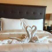 ヒメ日記 2025/05/17 14:12 投稿 いろは 渋谷 風俗 いきなりビンビン伝説