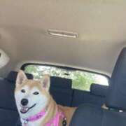 ヒメ日記 2025/05/23 20:32 投稿 いろは 渋谷 風俗 いきなりビンビン伝説