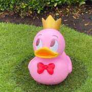 ヒメ日記 2025/06/04 09:03 投稿 いろは 渋谷 風俗 いきなりビンビン伝説