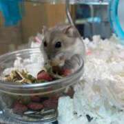 ヒメ日記 2025/06/07 00:06 投稿 いろは 渋谷 風俗 いきなりビンビン伝説