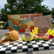 ヒメ日記 2025/06/15 15:07 投稿 いろは 渋谷 風俗 いきなりビンビン伝説