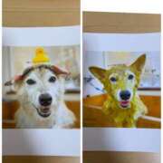 ヒメ日記 2025/06/29 20:38 投稿 いろは 渋谷 風俗 いきなりビンビン伝説