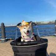 ヒメ日記 2025/07/05 18:18 投稿 いろは 渋谷 風俗 いきなりビンビン伝説