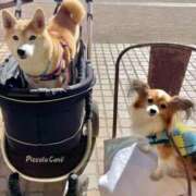 ヒメ日記 2025/08/15 17:48 投稿 いろは 渋谷 風俗 いきなりビンビン伝説