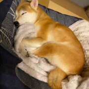 ヒメ日記 2025/08/16 17:37 投稿 いろは 渋谷 風俗 いきなりビンビン伝説