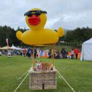 ヒメ日記 2025/09/26 17:54 投稿 いろは 渋谷 風俗 いきなりビンビン伝説