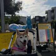 ヒメ日記 2025/10/01 19:09 投稿 いろは 渋谷 風俗 いきなりビンビン伝説