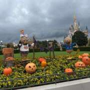 ヒメ日記 2025/10/10 23:38 投稿 いろは 渋谷 風俗 いきなりビンビン伝説