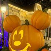 ヒメ日記 2025/10/10 23:45 投稿 いろは 渋谷 風俗 いきなりビンビン伝説