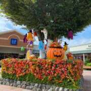 ヒメ日記 2025/10/13 11:51 投稿 いろは 渋谷 風俗 いきなりビンビン伝説