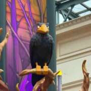 ヒメ日記 2025/10/13 22:26 投稿 いろは 渋谷 風俗 いきなりビンビン伝説