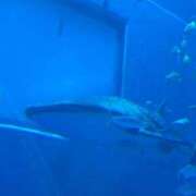 ヒメ日記 2025/10/26 20:43 投稿 いろは 渋谷 風俗 いきなりビンビン伝説