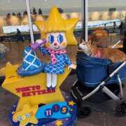 ヒメ日記 2025/11/21 18:59 投稿 いろは 渋谷 風俗 いきなりビンビン伝説