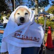 ヒメ日記 2025/11/26 18:45 投稿 いろは 渋谷 風俗 いきなりビンビン伝説