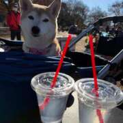 いろは 出勤あいさつ 渋谷 風俗 いきなりビンビン伝説