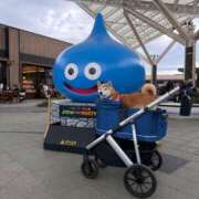 ヒメ日記 2025/12/22 20:22 投稿 いろは 渋谷 風俗 いきなりビンビン伝説