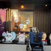 ヒメ日記 2026/01/21 23:55 投稿 いろは 渋谷 風俗 いきなりビンビン伝説