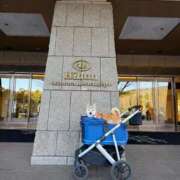 いろは 出勤あいさつ 渋谷 風俗 いきなりビンビン伝説