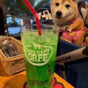 いろは 昨日のお礼 渋谷 風俗 いきなりビンビン伝説