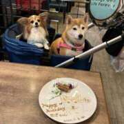 ヒメ日記 2026/02/04 18:53 投稿 いろは 渋谷 風俗 いきなりビンビン伝説