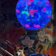 ヒメ日記 2026/02/06 19:03 投稿 いろは 渋谷 風俗 いきなりビンビン伝説