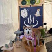 ヒメ日記 2026/03/22 23:19 投稿 いろは 渋谷 風俗 いきなりビンビン伝説