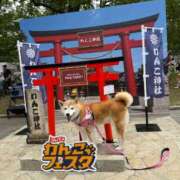 ヒメ日記 2026/06/21 17:11 投稿 いろは 渋谷 風俗 いきなりビンビン伝説