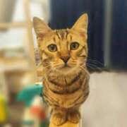 ヒメ日記 2024/12/26 20:18 投稿 しおん 千葉人妻花壇