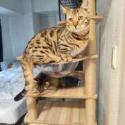 ヒメ日記 2024/12/31 09:30 投稿 しおん 千葉人妻花壇