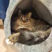 ヒメ日記 2025/01/04 10:45 投稿 しおん 千葉人妻花壇