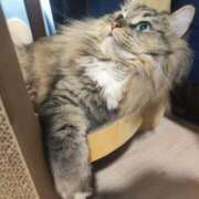 ヒメ日記 2025/02/02 09:49 投稿 しおん 千葉人妻花壇