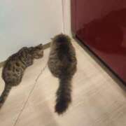 ヒメ日記 2025/02/08 09:51 投稿 しおん 千葉人妻花壇