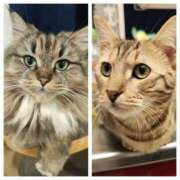 ヒメ日記 2025/02/24 09:53 投稿 しおん 千葉人妻花壇