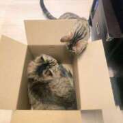 ヒメ日記 2025/03/22 09:59 投稿 しおん 千葉人妻花壇