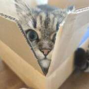 ヒメ日記 2025/04/01 19:06 投稿 しおん 千葉人妻花壇