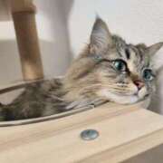 ヒメ日記 2025/06/09 19:27 投稿 しおん 千葉人妻花壇