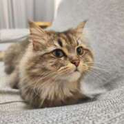 ヒメ日記 2025/06/17 18:06 投稿 しおん 千葉人妻花壇