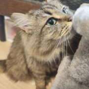 ヒメ日記 2025/07/09 18:52 投稿 しおん 千葉人妻花壇