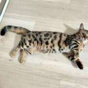 ヒメ日記 2025/09/01 23:03 投稿 しおん 千葉人妻花壇