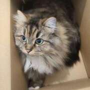 ヒメ日記 2025/12/23 19:20 投稿 しおん 千葉人妻花壇