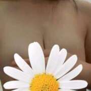 ヒメ日記 2025/09/14 13:49 投稿 ゆうか 多治見・土岐・春日井ちゃんこ