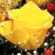 ヒメ日記 2024/12/20 17:11 投稿 如月 綾 こあくまな熟女たち沼津店（KOAKUMAグループ）