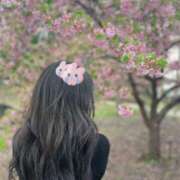 ヒメ日記 2025/04/26 12:31 投稿 モエ ラブコレクション