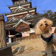 ヒメ日記 2025/01/26 18:48 投稿 桜木あの ゴシップガール～淑女不倫～