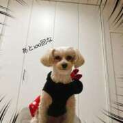 ヒメ日記 2025/02/05 22:28 投稿 桜木あの ゴシップガール～淑女不倫～