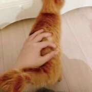 ヒメ日記 2025/02/06 14:08 投稿 桜木あの ゴシップガール～淑女不倫～